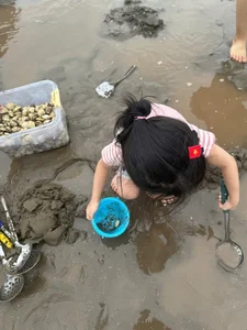 Discover the Charm of Clam Raking at Hoang Chau Beach: A Unique Travel Experience - image 2