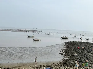 Discover the Charm of Clam Raking at Hoang Chau Beach: A Unique Travel Experience - image 8