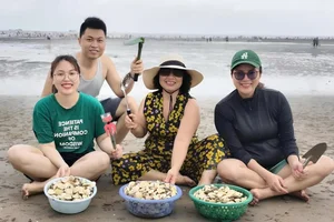 Discover the Charm of Clam Raking at Hoang Chau Beach: A Unique Travel Experience - image 7
