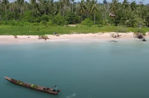 The Amazing Story of a Couple Living Isolated on an Island - image 11