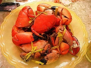Vietnamese Version of King Crab in Quang Ninh: Is it Really Worth the Hype? - image 1