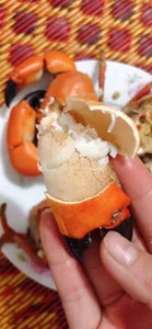 Vietnamese Version of King Crab in Quang Ninh: Is it Really Worth the Hype? - image 0