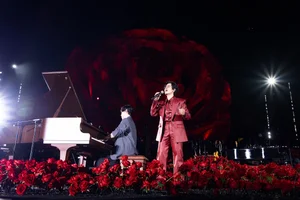 Romantic Milestones: Marriage Proposals at Ha Anh Tuan’s Concerts - image 5