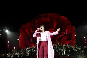 Romantic Milestones: Marriage Proposals at Ha Anh Tuan’s Concerts - image 2