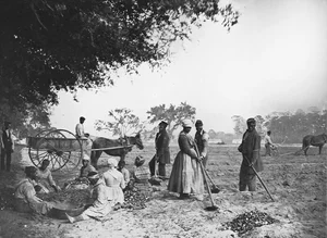 A Window into the Past: Rare Photos of American Life Over 100 Years Ago - image 0