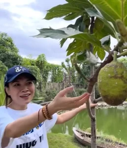 Inside the Luxurious Multi-Million Dollar Estate of Vietnamese Superstar Singer My Tam - image 2