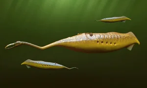 Mysterious and Bizarre Fossil Creatures That Continue to Baffle Paleontologists - image 5