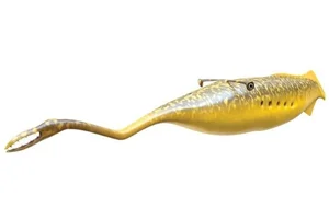 Mysterious and Bizarre Fossil Creatures That Continue to Baffle Paleontologists - image 0