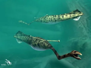 Mysterious and Bizarre Fossil Creatures That Continue to Baffle Paleontologists - image 3