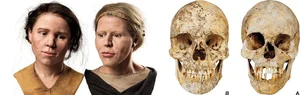 Reconstructing the Faces of the Stone Age: A Scientific Breakthrough - image 2