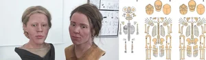 Reconstructing the Faces of the Stone Age: A Scientific Breakthrough - image 6