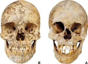 Reconstructing the Faces of the Stone Age: A Scientific Breakthrough - image 7