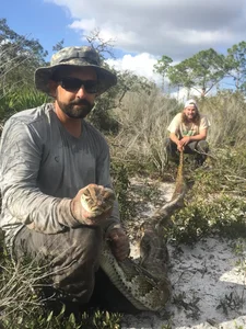 Incredible Wildlife Battle: Florida Bobcat Defeats 4-Meter Burmese Python - image 3