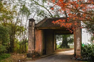 A Living Museum: Exploring the 1,000-Year-Old Ancient Village Near Hanoi - image 6