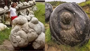 The Mystery of Trovants: Exploring the Living Stones That Grow and Reproduce After Rain - image 2