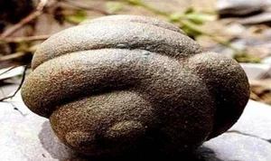 The Mystery of Trovants: Exploring the Living Stones That Grow and Reproduce After Rain - image 6
