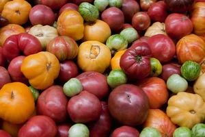 Surprising Facts You Never Knew About Tomato Plants - image 7