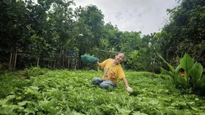 Stunning 4000m² Riverside Garden of Vietnamese Female Artist - image 1