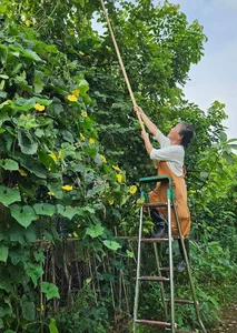 Stunning 4000m² Riverside Garden of Vietnamese Female Artist - image 2