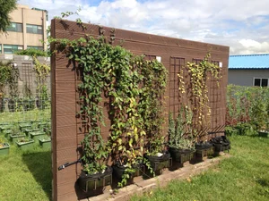 45 Creative Climbing Plant Garden Ideas for a Lush Green Outdoor Sanctuary - image 6