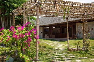 45 Creative Climbing Plant Garden Ideas for a Lush Green Outdoor Sanctuary - image 7