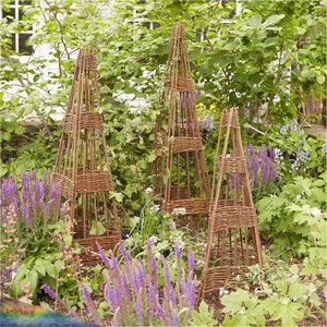 45 Creative Climbing Plant Garden Ideas for a Lush Green Outdoor Sanctuary - image 5