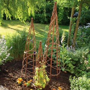 45 Creative Climbing Plant Garden Ideas for a Lush Green Outdoor Sanctuary - image 3