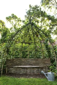 45 Creative Climbing Plant Garden Ideas for a Lush Green Outdoor Sanctuary - image 1