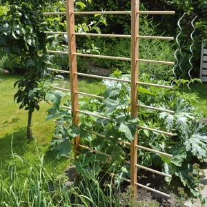45 Creative Climbing Plant Garden Ideas for a Lush Green Outdoor Sanctuary - image 4