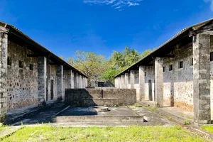 Discover Con Dao: Vietnam's Mysterious Island Paradise with a Dark History - image 4
