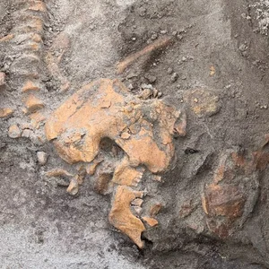 4,000-Year-Old Ancient Tomb Excavated: Uncovering Secrets That Shocked the World - image 7