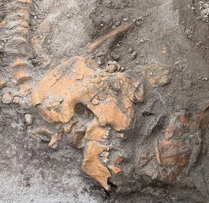 4,000-Year-Old Ancient Tomb Excavated: Uncovering Secrets That Shocked the World - image 1