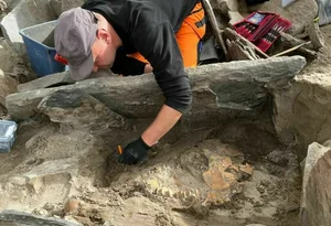 4,000-Year-Old Ancient Tomb Excavated: Uncovering Secrets That Shocked the World - image 2
