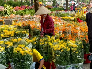 Beautiful Tet Traditions and Customs Cherished by Vietnamese Families - image 12