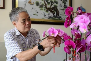 Beautiful Tet Traditions and Customs Cherished by Vietnamese Families - image 11