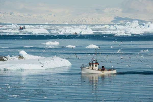 Fascinating Facts About Greenland: Discover Earth's Largest Island and Its Secrets - image 4