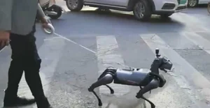 Futuristic Shanghai: The Viral 12-Second Video Capturing Another World - image 4