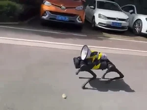 Futuristic Shanghai: The Viral 12-Second Video Capturing Another World - image 2