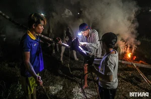 The Vibrant Bay Nui Bull Racing Festival Starting From Dawn - image 6
