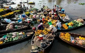 Exploring the New Mekong Delta Tourism Map After Recent Provincial Mergers - image 0