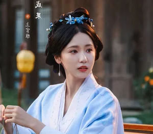 The Princess Royal: Inside the Highly Anticipated Historical C-Drama Starring Zhang Linghe - image 7
