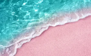 10 Breathtaking Pink Sand Beaches You Must Visit Around the World - image 7