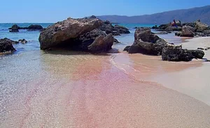 10 Breathtaking Pink Sand Beaches You Must Visit Around the World - image 3