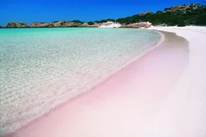 10 Breathtaking Pink Sand Beaches You Must Visit Around the World - image 4