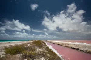 10 Breathtaking Pink Sand Beaches You Must Visit Around the World - image 5
