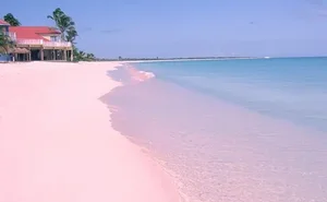 10 Breathtaking Pink Sand Beaches You Must Visit Around the World - image 9