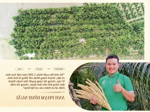 From Civil Servant to Million-Dollar Business Owner: An Inspiring Journey - image 3