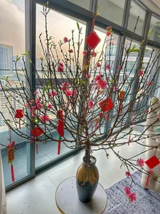 Supermodel Hà Anh Transforms Her Luxury HCMC Apartment into a Floral Paradise for Tet 2024 - image 4