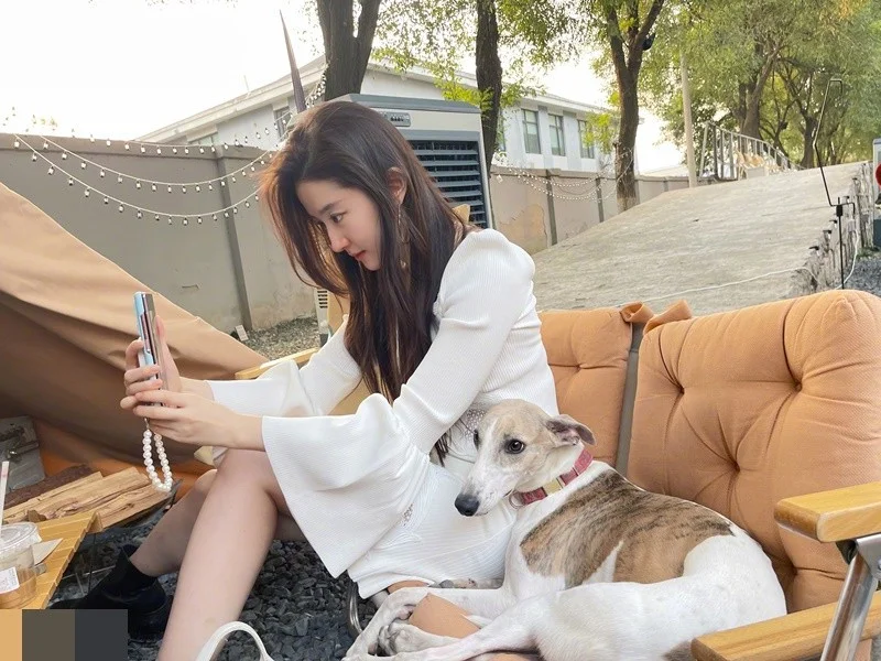 Inside the Luxurious and Elegant Life of Chinese Superstar Liu Yifei