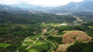 Khanh Son Ecological Mini-City Unveils Development Plan and Investment Opportunities - image 3